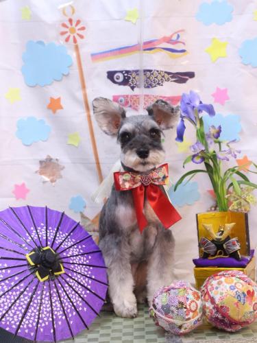 20240521むぎちゃん